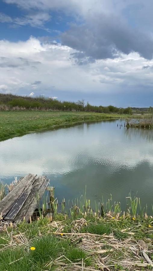 Agroturystyka Nad Jeziorem Silickim Ilinscy Silice Exteriör bild