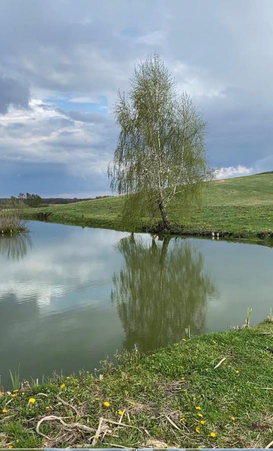 Agroturystyka Nad Jeziorem Silickim Ilinscy Silice Exteriör bild