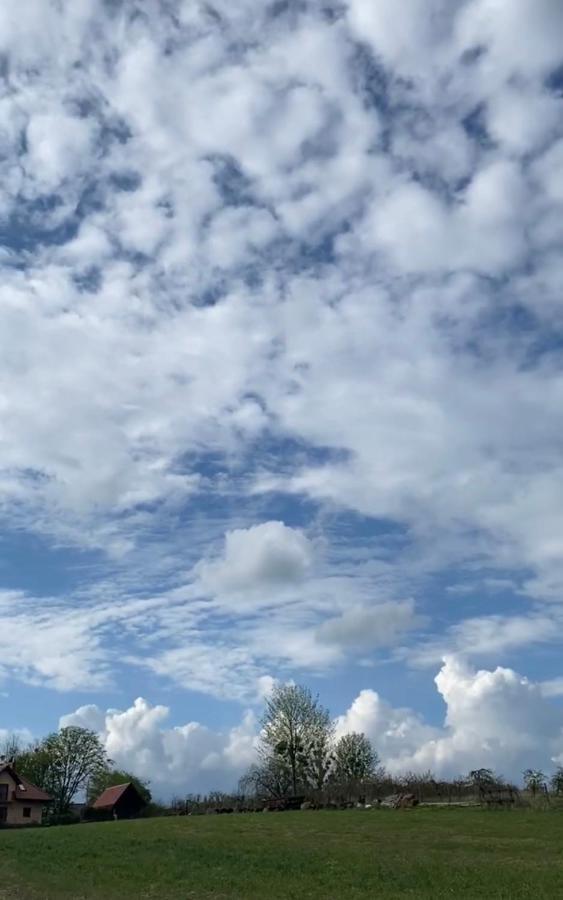 Agroturystyka Nad Jeziorem Silickim Ilinscy Silice Exteriör bild