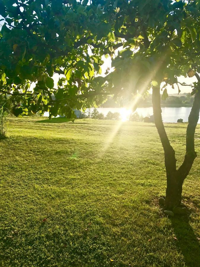 Agroturystyka Nad Jeziorem Silickim Ilinscy Silice Exteriör bild