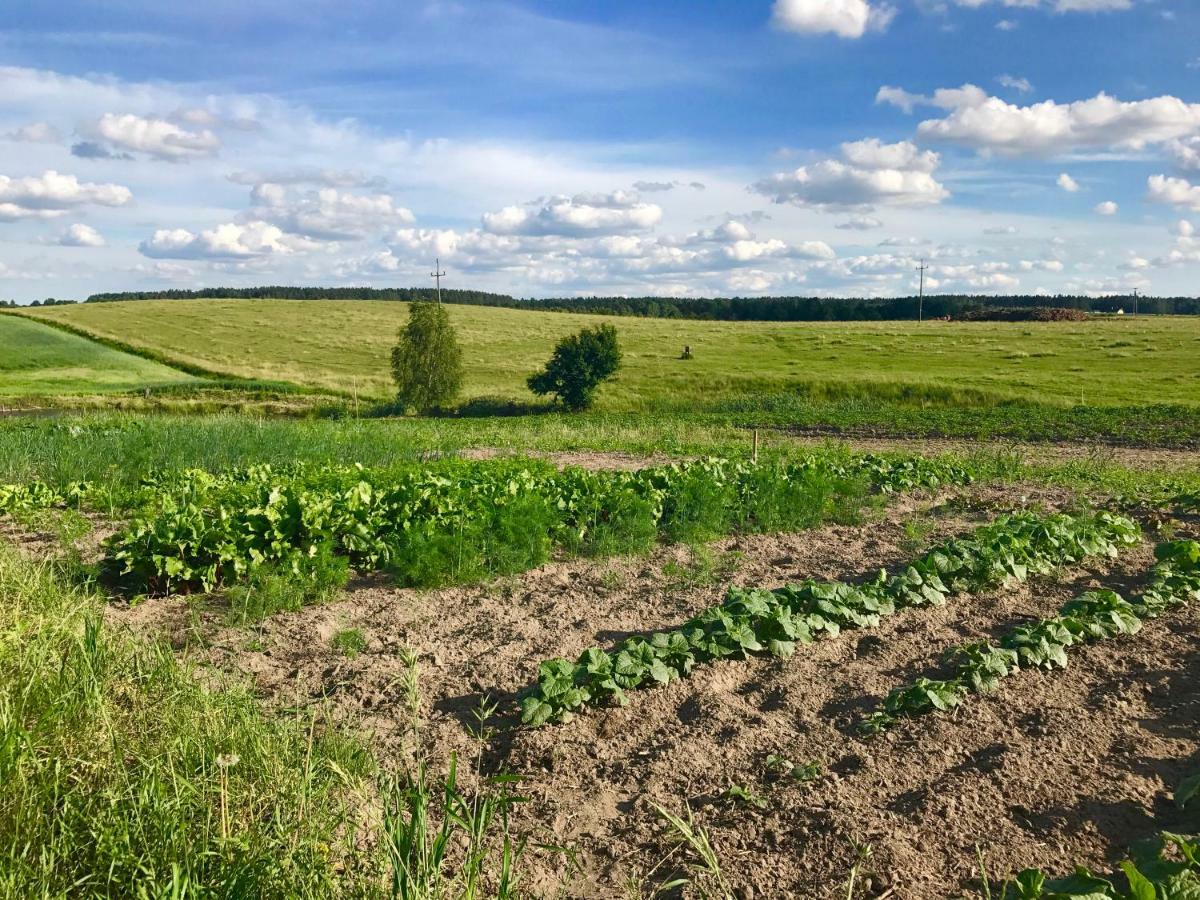 Agroturystyka Nad Jeziorem Silickim Ilinscy Silice Exteriör bild